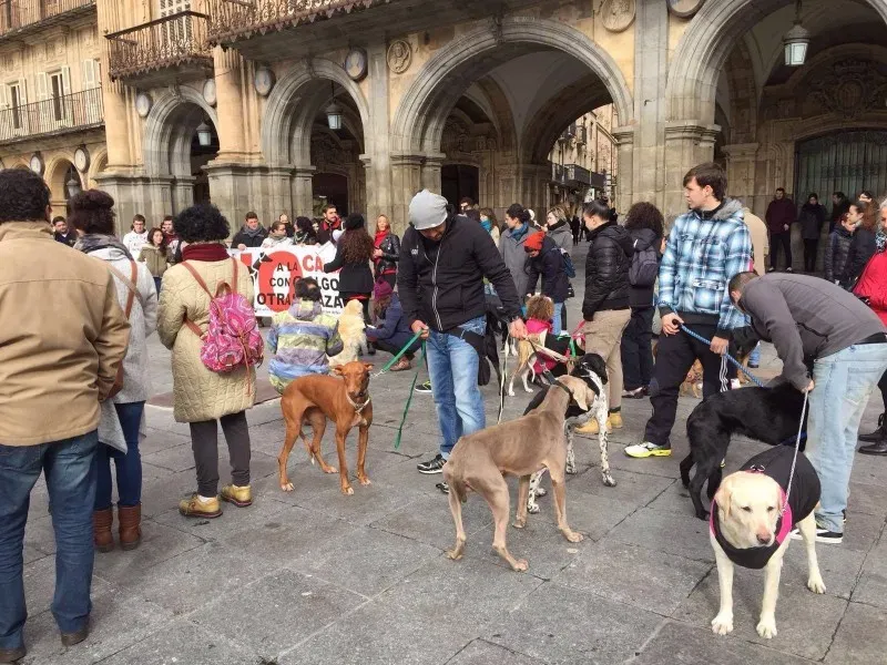 12694604 10206608390547165 5586518638277194485 o