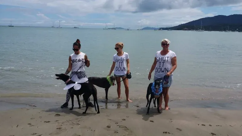 12694658 10154529334515299 3125018762455971601 o