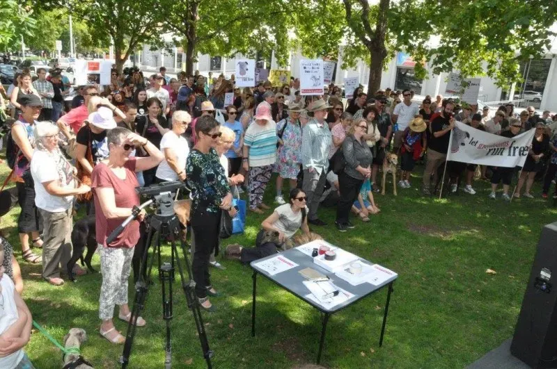 12694723 10154529307770299 5850096619016199770 o