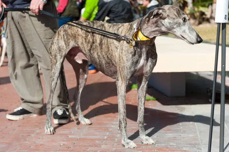 12694776 10208581125551390 643191700033925797 o