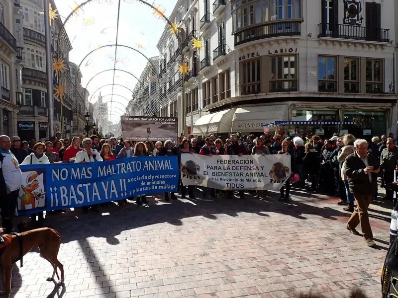 12694888 10153205713850793 8604565551940193058 o