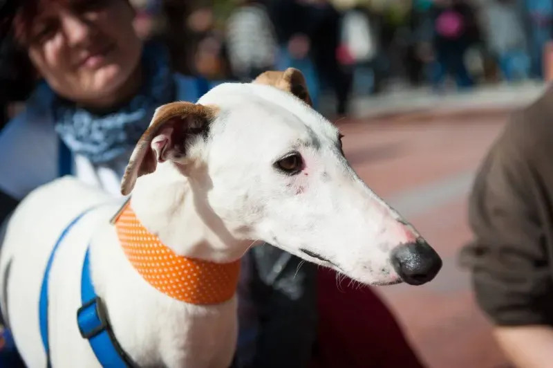 12694888 10208581133831597 1100595883585391992 o