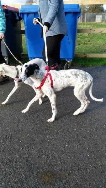 12695417 10207448489103965 560015115 o