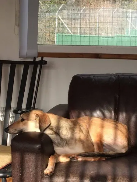 12695505 1772379089656737 1898454562 o