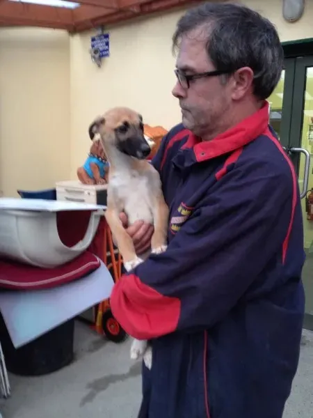 12696586 10153177721955194 802307469 o