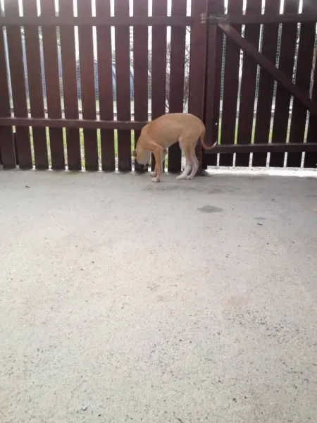 12696858 10153177723015194 2077478674 o