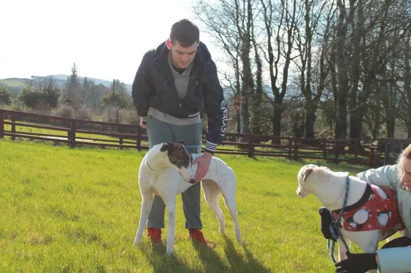 12696995 1167579026593128 6295446038084056906 o