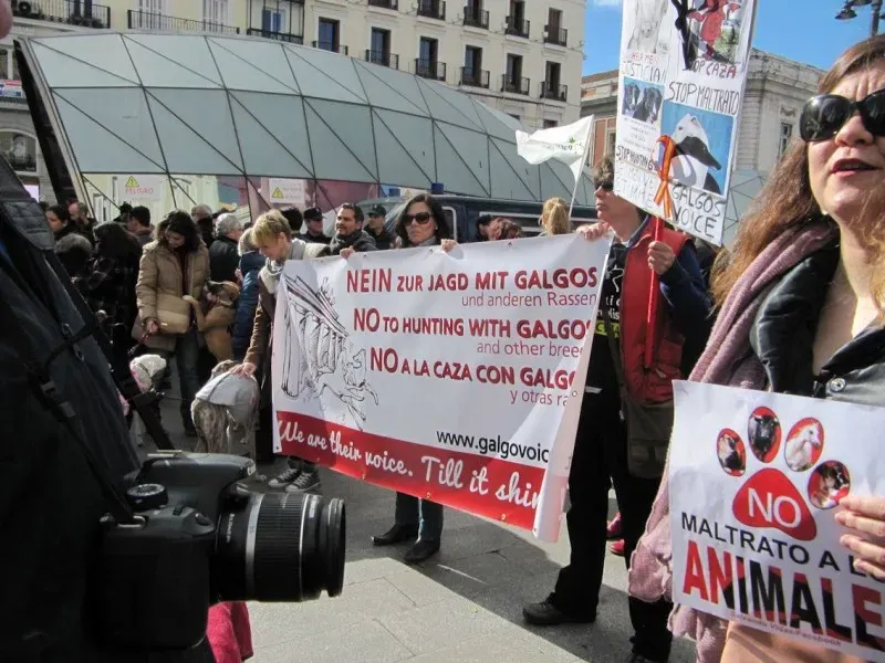 12697171 866960580098841 2511911374348719748 o