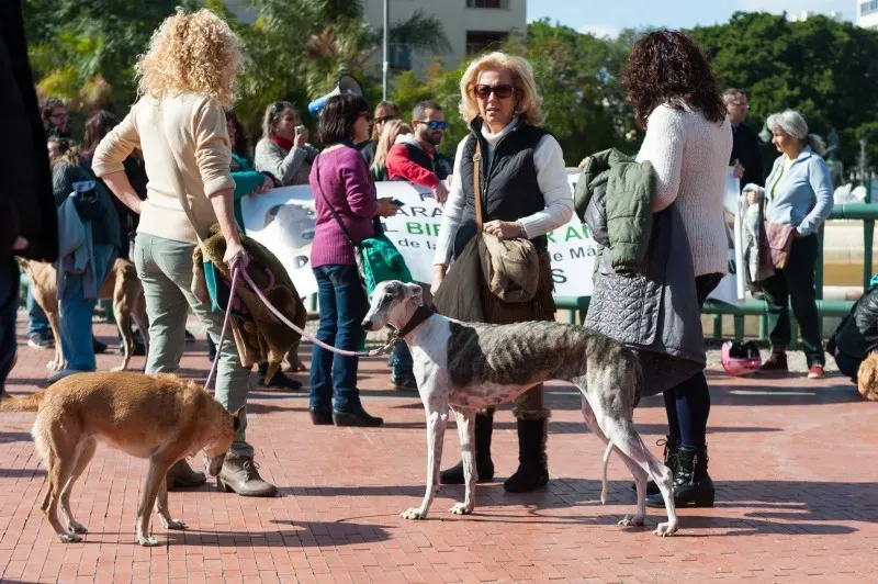 12697391 10208581121831297 1658399438658446038 o