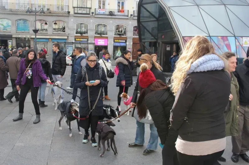 12698224 866961110098788 6938562388088883353 o