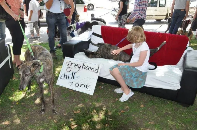 12698229 10154529307615299 8379586857244770130 o