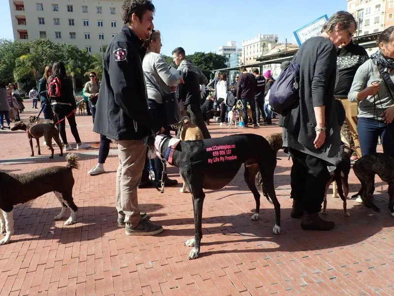 12698244 10153205708390793 6361444771193198839 o