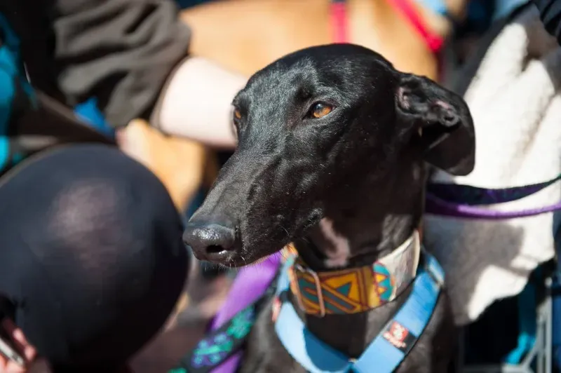 12698411 10208581139351735 4667746495864187986 o