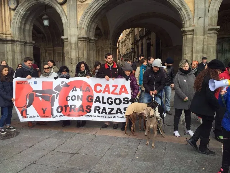 12698644 10206608390347160 7125522542458168703 o