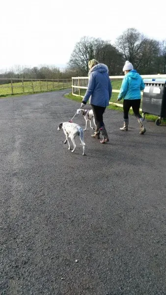 12698764 10207448489463974 72382853 o