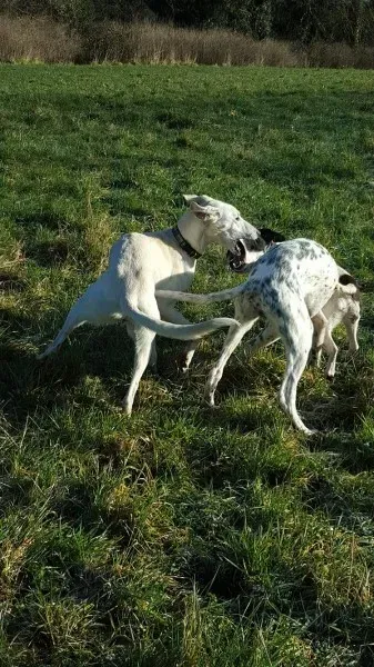 12698916 10207533582031235 1738074708 o