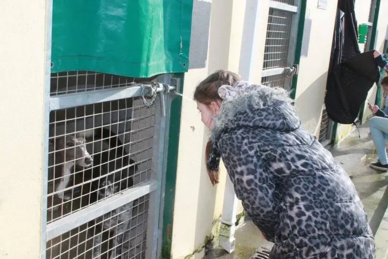 12699195 978753778882892 1770947799 o