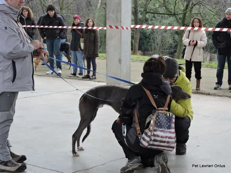 12705177 964392483644607 6950053274489311635 n