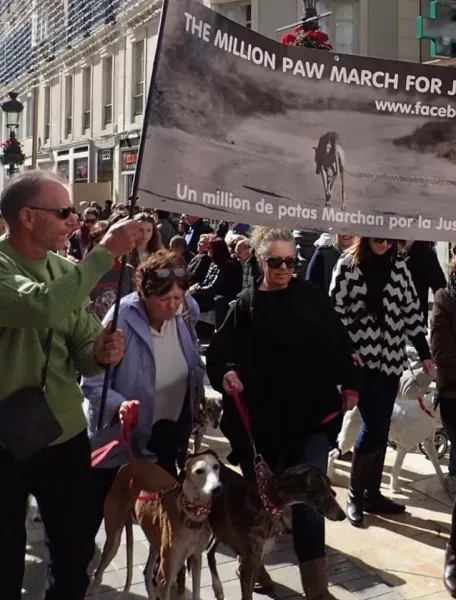 12705181 1167174239961961 5389214975529991899 n