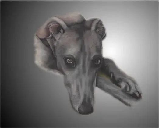 12705227 10203958644726140 920698917009487035 n