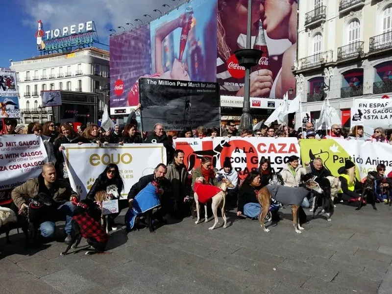 12705263 1256263144391036 4764059584986835513 n