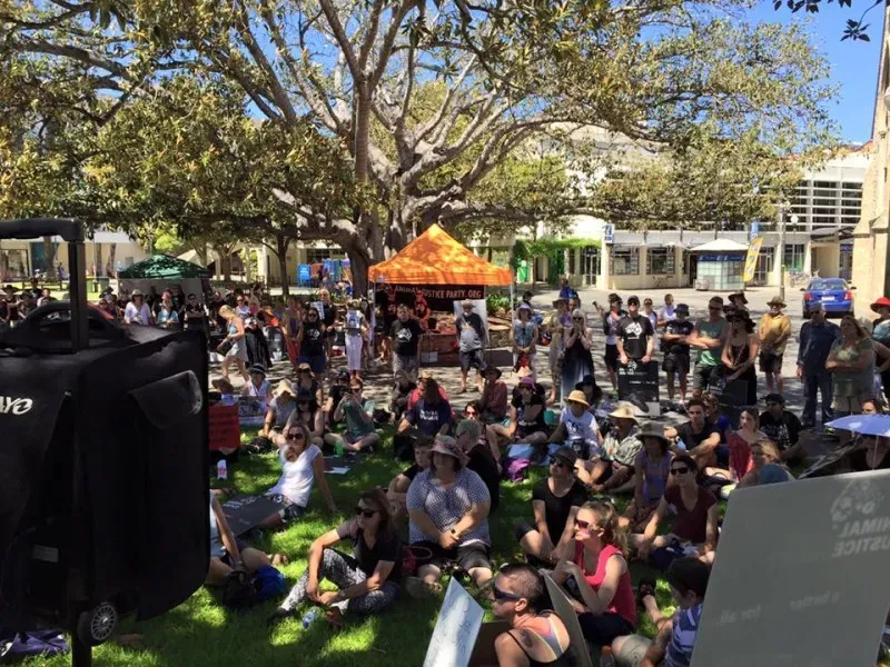 12705399 1047158782037146 5636813973342802489 n