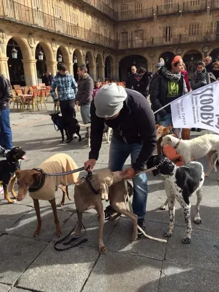 12705422 10206608386667068 7292596879924738224 n