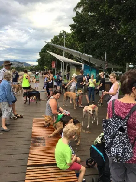 12705573 10154529336975299 346550980911065511 n