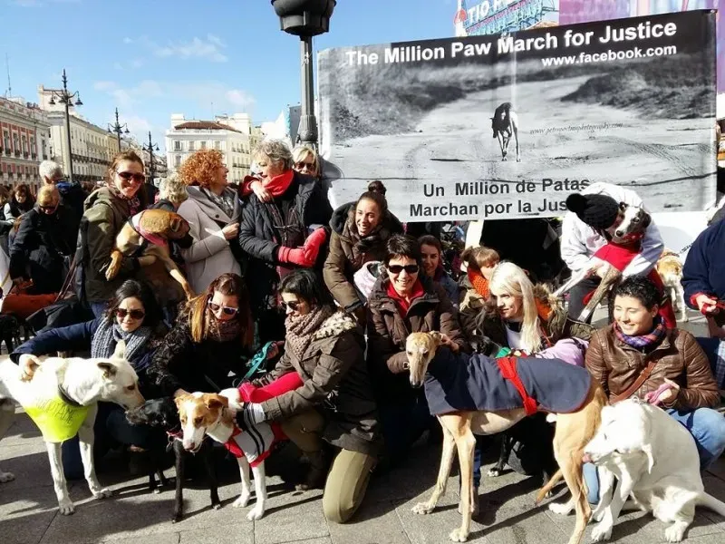 12705751 1256263167724367 7729859163338725066 n