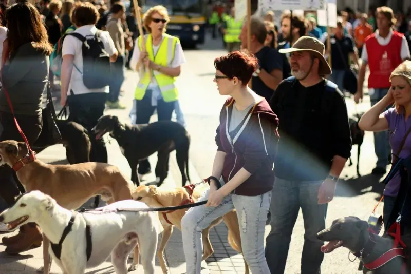 1270989 10201919813418404 574662596 o