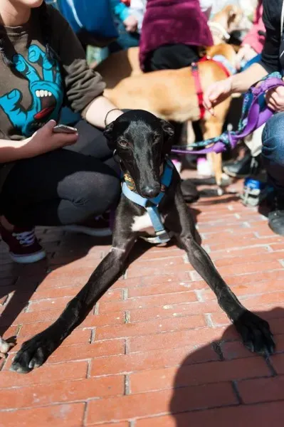 12710737 10208581134191606 592977483331261723 o