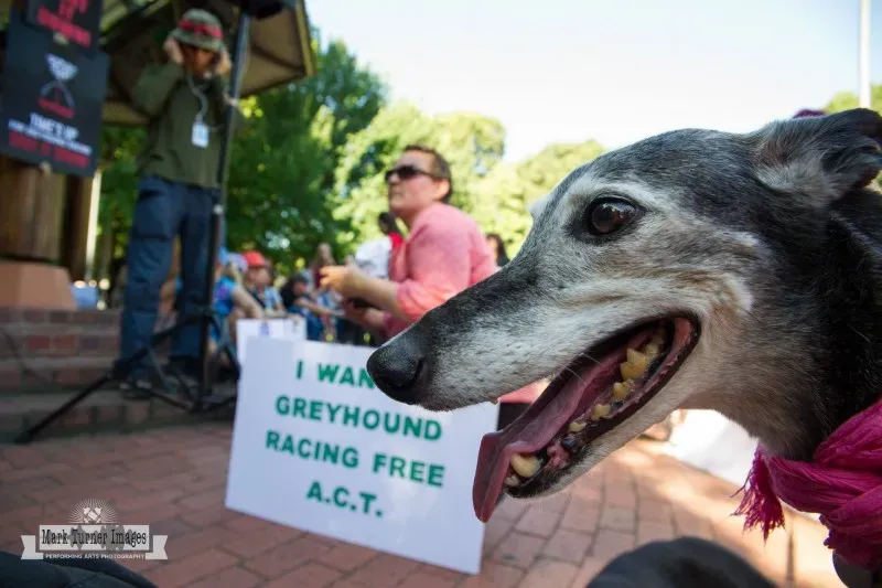 12710762 10154529312600299 2983445712600017099 o