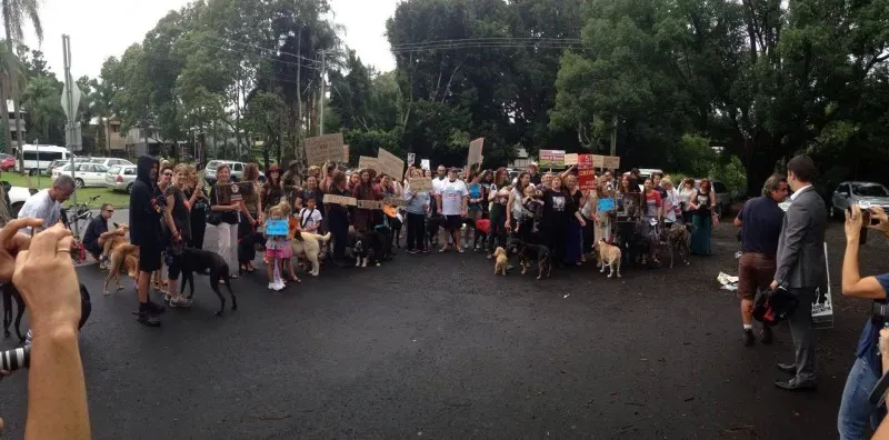 12710919 10154529330390299 8117201665285348500 o