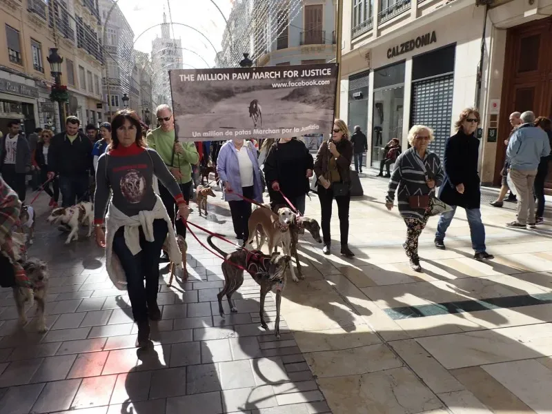 12710939 10153205708665793 4321320682794133581 o