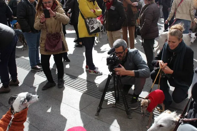 12711142 866961723432060 8469802979497909570 o