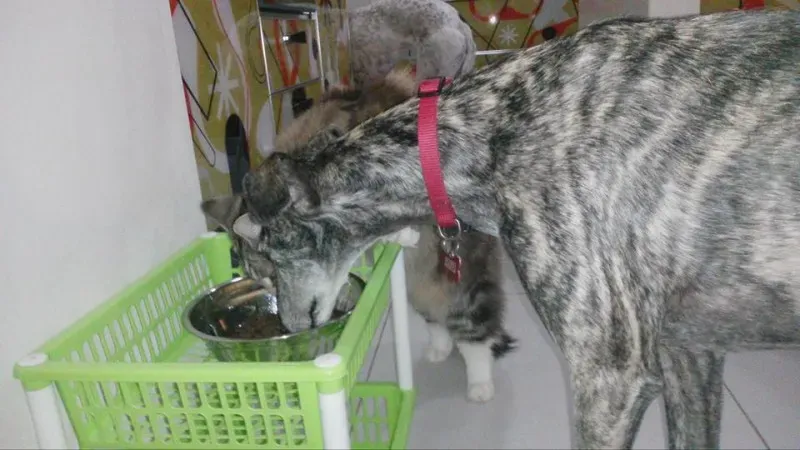 12714467 1049866105033770 1024624923 n