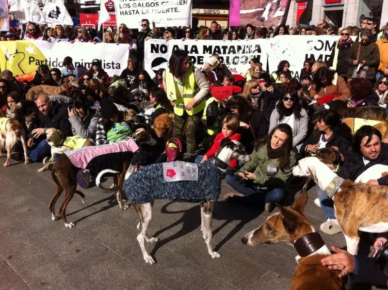 12715211 947137112049788 4323139698054960190 n