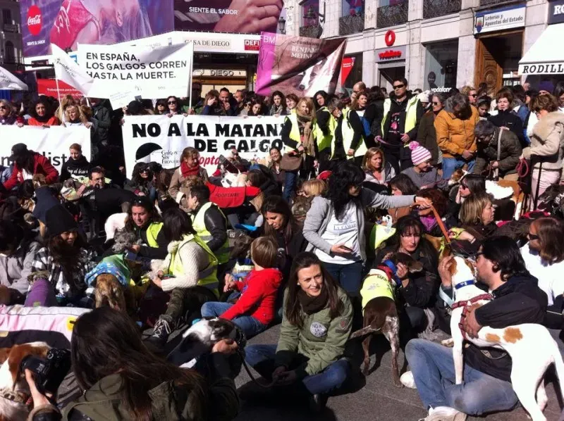 12715304 947137128716453 2974445876754406245 n