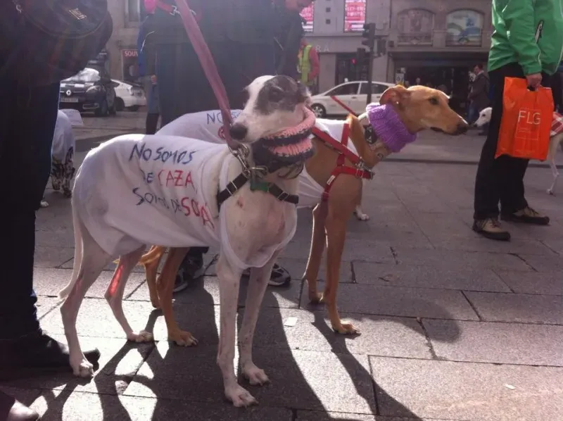 12715347 947137378716428 1024972125633852874 n