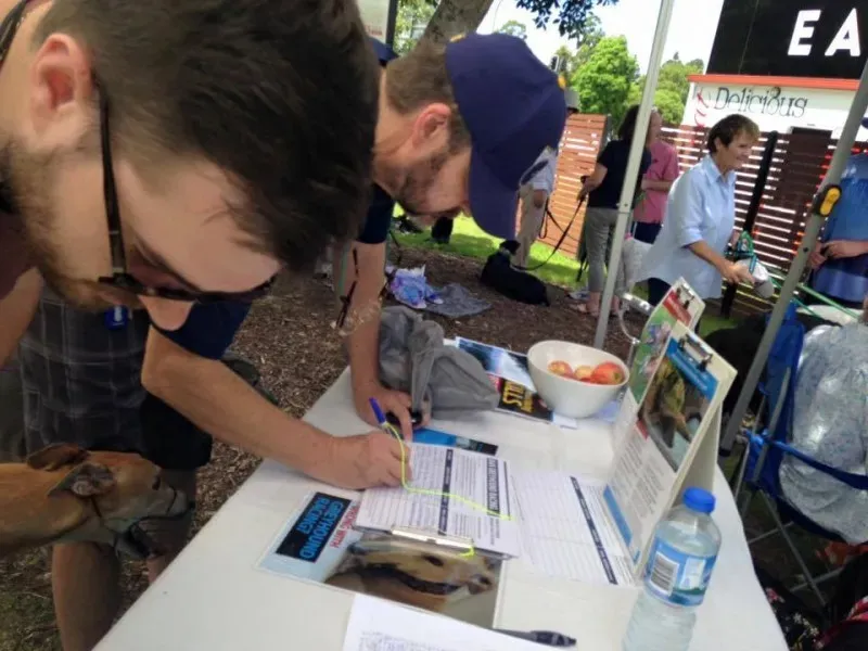 12715665 10154529326015299 8938600638823463624 n