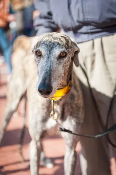 12715853 10208581124191356 7016173876458561734 o