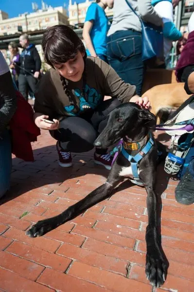 12716051 10208581135711644 6464585743957804126 o