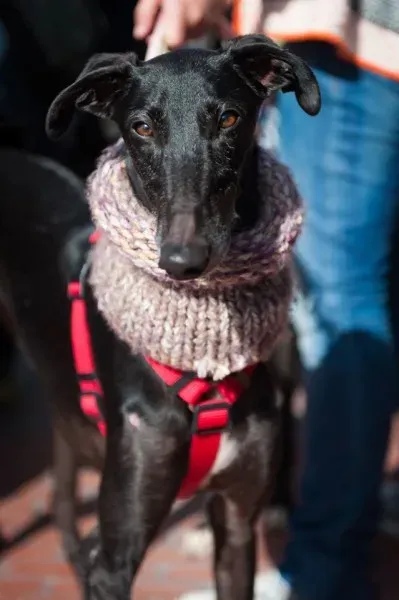 12716055 10208581144471863 619093382714796393 o