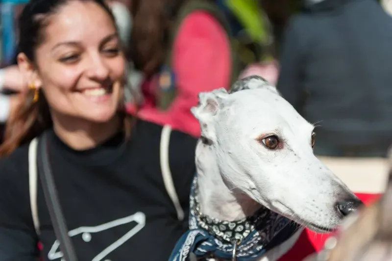 12716066 10208581127831447 5723623833705575963 o