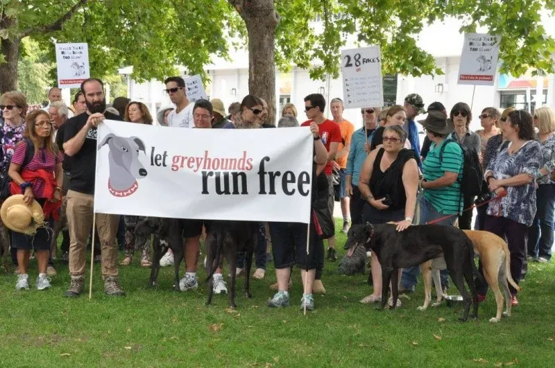 12716117 10154529307660299 9131670721792187035 o