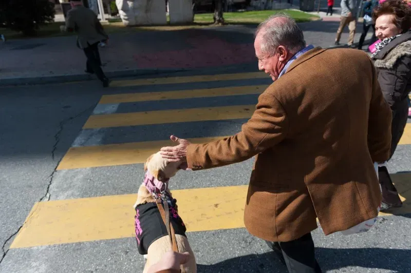 12716130 10208581145751895 1724147307963915467 o