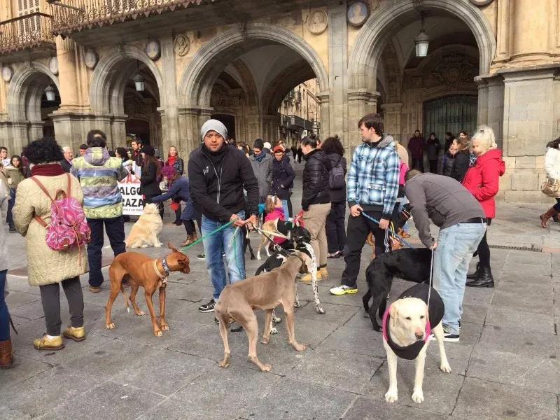 12716355 10206608389787146 9007019774242411920 o