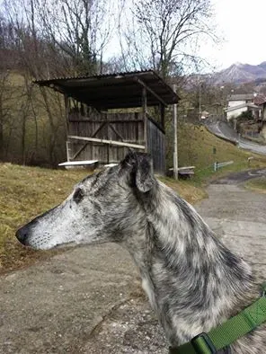 12717339 1260918823924972 3379569292534898997 n