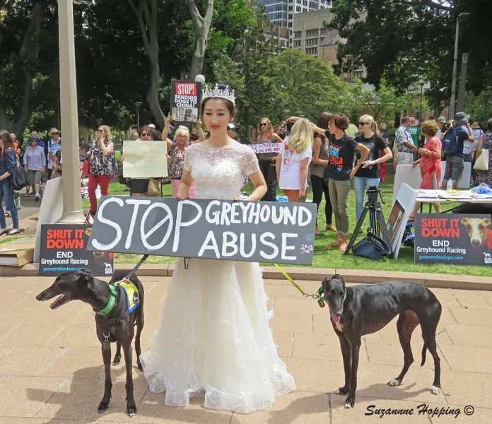 12717492 10154529269180299 4052796018575078879 n 1