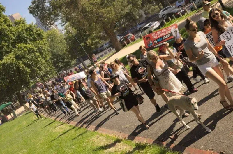 12717534 10154529279795299 291173882186154120 n